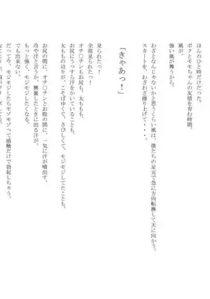 男の娘セーラー戦士W