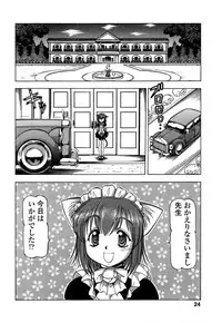 [Itoyoko] Mesu Neko - Maid Cats Story