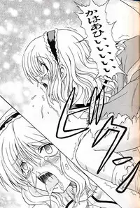 (C75) [Takakuya (Takaku Toshihiko)] Touhou Youjo Ranbu 9 (Touhou Project)