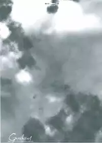 [Luna Plan] Gene Instinct (Breath of Fire)