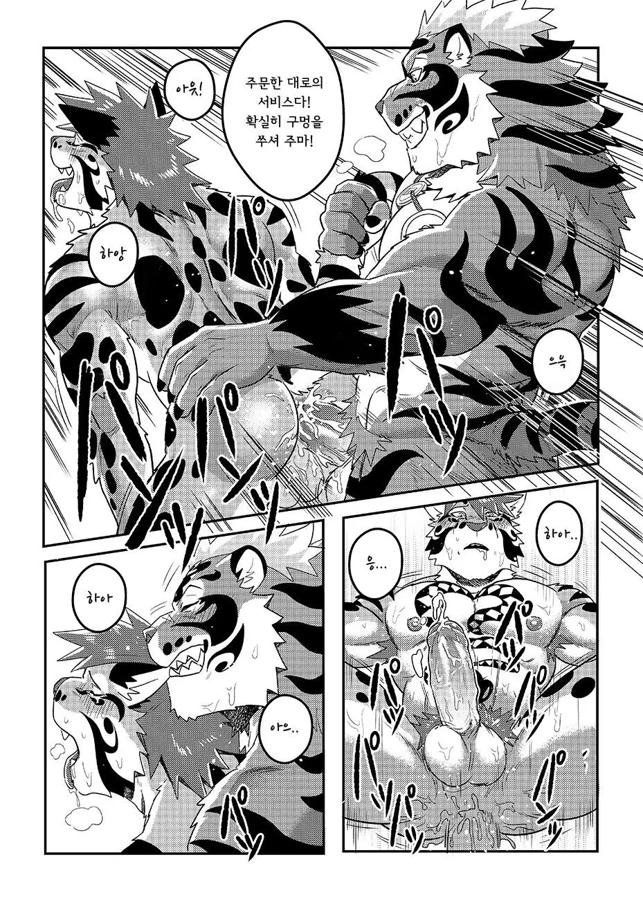 Nekojishi EXTRA | 네코지시 EXTRA