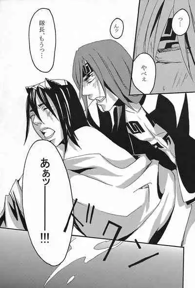 (CCFukuoka24) [Ningyou Yashiki (Rin Kaito)] Rokubantai no Nyanko (Bleach)