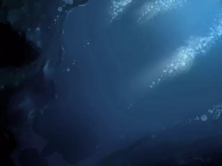 海巫女さんのお仕事