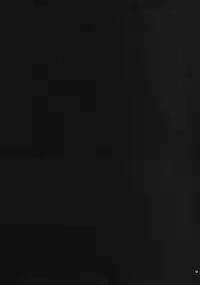 [Noraneko-no-Tama (Yukino Minato)] Kirigami Shima Dai San Hen [Digital]