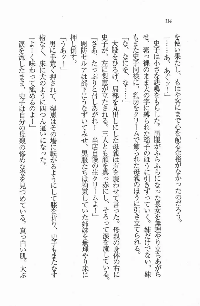 メイド喫茶　猫の隠れ家