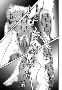 [Kesshousui] Otome no Seikanritsu