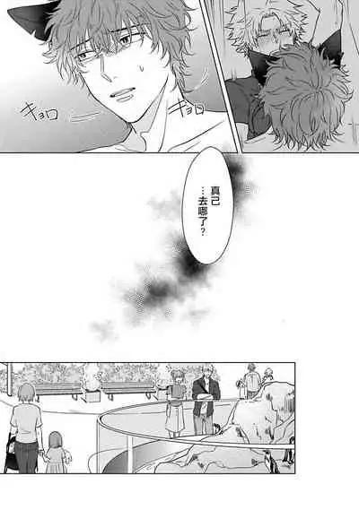 Fukurou no Koiwazurai | 猫头鹰的相思病