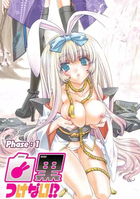 Usagi tachi no Momoiro Yugi