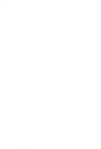 (C78) [Hitoyasumi (Ikkyuu)] HITOYASUMIX 11 REMIX 2