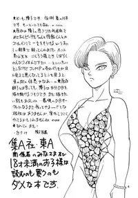 (C48) [Chirigami Goya, Fusuma Goten (Shouji Hariko)] YYY (Dragon Ball Z)
