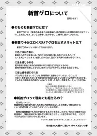 (C95) [02 (Harasaki)] Zanshu GERO