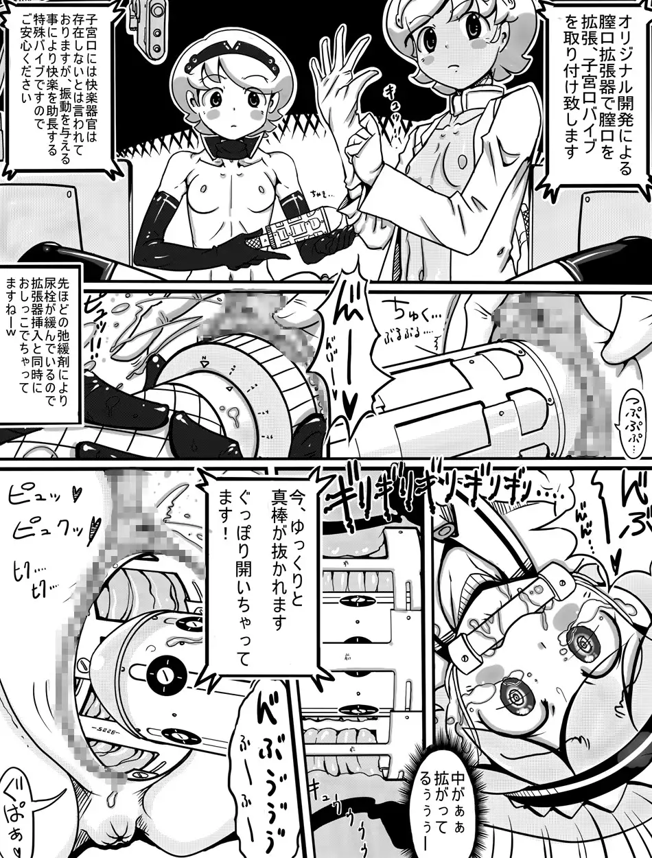 AOAKUA 'ELUA porno goods labratory Annual Report 2012