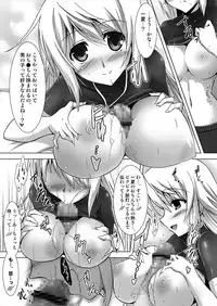 [C.R's NEST (C.R)]Charuru no Ecchi(Infinite Stratos)