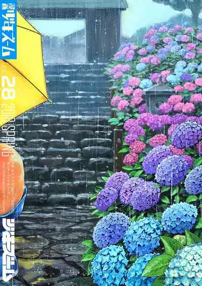 Manga Shounen Zoom Vol. 28