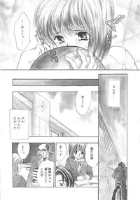 [Shimao Kazu] Charm Point