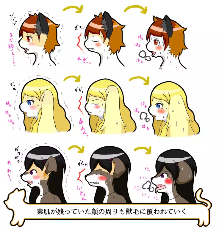 Kemo tan 1＠J-Chimera