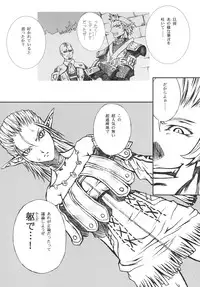 (C75) [Akai Tsubasa, 50BMG (Tachibana Chata, Shindou Nobumichi)] LOVE FOOL.09 (Final Fantasy XI)