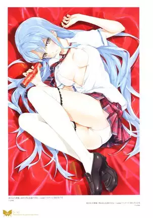 八宝備仁画集 紅蝶（ほてり）