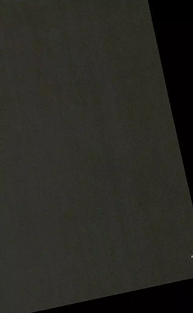 きみはぼくの希望