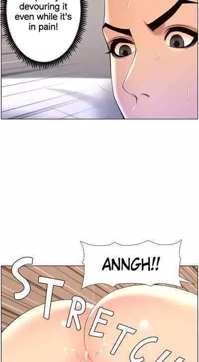 APP for the Emperor of the Night 1-30