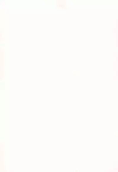 Kanoka Challenge_plot 2