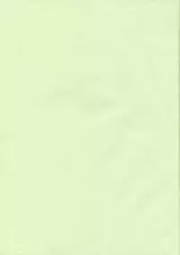 (Reitaisai 6) [Reverse Noise (Yamu)] Fairy Trap (Touhou Project)