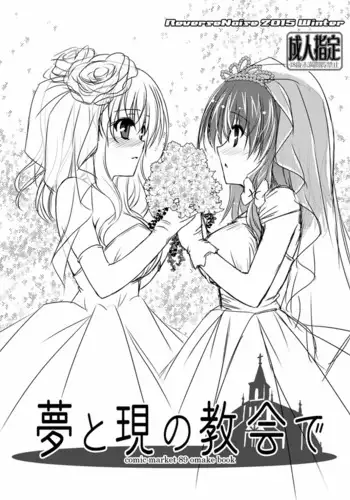 Yume to Utsutsu no Kyoukai de