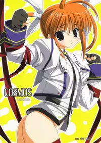 (C71) [Lili Marleen (Kinohara Hikaru)] COSMOS (Mahou Shoujo Lyrical Nanoha)