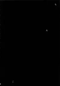 (C93) [PIANIISHIMO (Pija)] Sagisawa Fumika wa Yoku Moteru (THE IDOLM@STER CINDERELLA GIRLS)