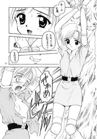 [Shadow's] Shadow's 06 (Tear Ring Saga)