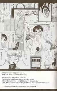 (C73) [Chizuma! (Chizumaru)] Powder snow... no tsuzuki! (Neon Genesis Evangelion)