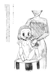 (C64) [Sangetsushi] Nadja no Chirarimanfuraggushoo (Ashita no Nadja)