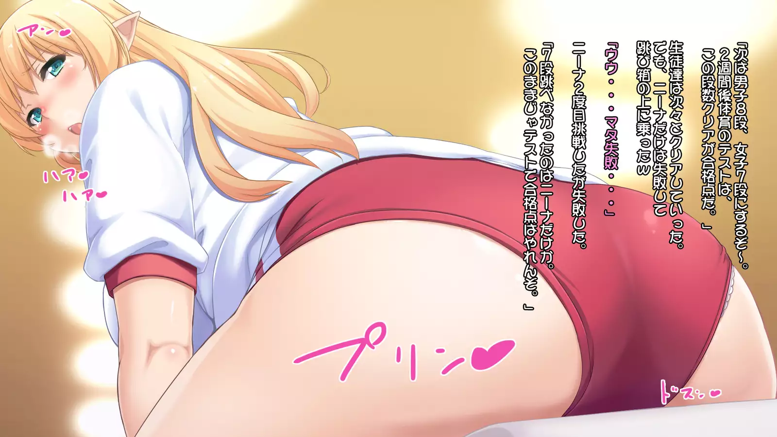 Junshin na Elf no Ryuugakusei ni Anal Choukyo shiyo！