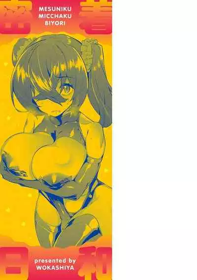 メス肉密着日和