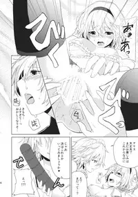 (Reitaisai 10) [Tatakai no Kiseki (Senyuu)] Hajimete no Biyaku (Touhou Project)