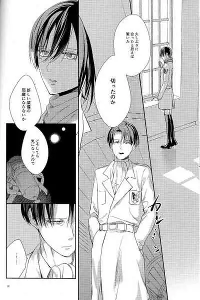 (C95) [Dissonance (Sakuragawa Naa)] Yuugou (Shingeki no Kyojin)