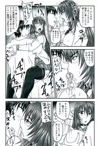 [Nozarashi Satoru] Do S na Hime wa Kegasareru - Inga no Shou -