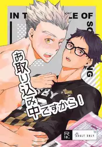 Otorikomi chuu desu kara!