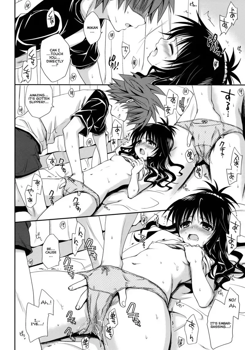 Plenty of Delicious Mandarins