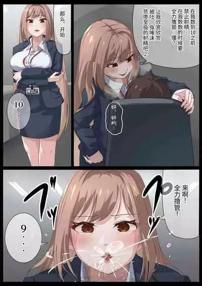 Birei sama no tsuba seme