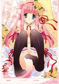 Dengeki Otona no Moeoh Illustrations Fetish