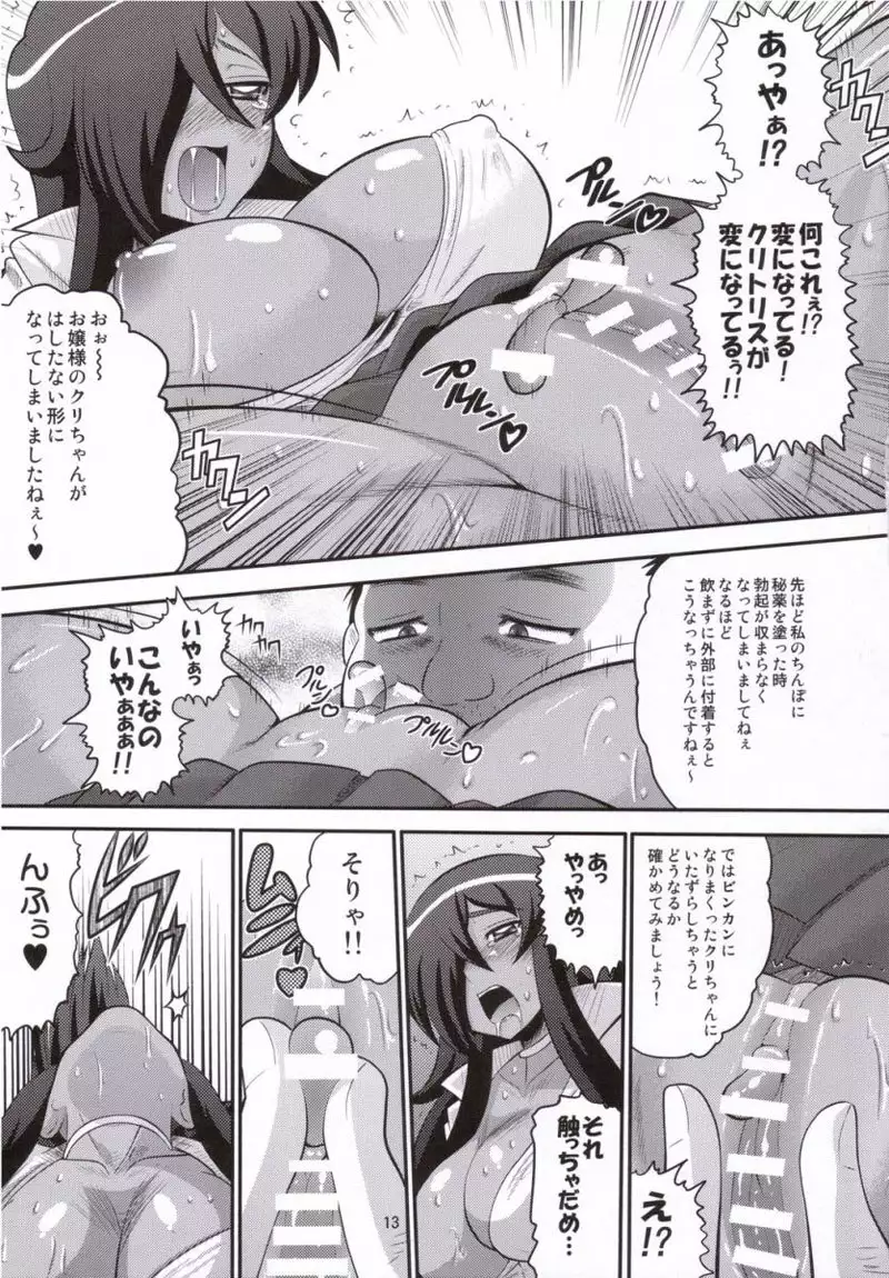 Zero No Tsukaima - Kizoku