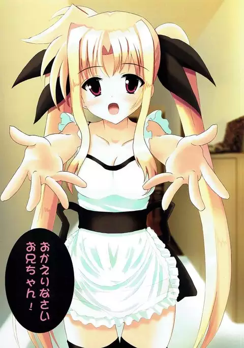 Fate-chan to Issho ni