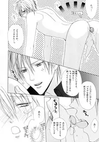 [Anthology] b-BOY Phoenix Vol.10 Odougu Tokushuu