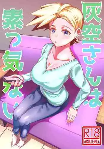 Haikara-san wa Sokkenai