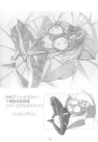 (C79) [SHIMAHOKKE (Kuroda Kazuya)] Shimahokke 13 (Princess Lover!, Akisora)