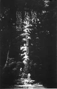 [Yonekura Kengo] Ever Green [Chinese]