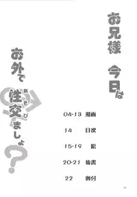 [Angelic Feather (Land Sale)] Onii-sama Kyou wa Osoto de Asobimasho? (Touhou Project) [Digital]