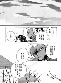 (Mimiket 10) [RED DATA BOOK (Amano Ryuuki)] Albireo (Fate stay night) [Chinese]