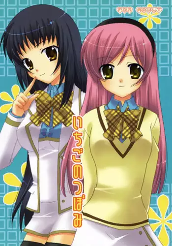 (C71) [ANGELBOX (Hazuki Ruka)] Ichigo no Tsubomi (Strawberry Panic!) [English] [SnY]